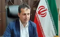 رشد چشمگیر کشت پیاز زمستانه در  شهرستان راسک