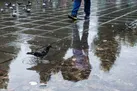 باد و باران در اکثر نقاط کشور