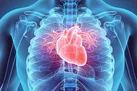 کاهش خطر بیماری قلبی با زندگی در مناطق سرسبز