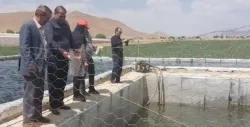 بازدید از طرح توسعه پرورش ماهی قزل آلا شهرستان فریدن