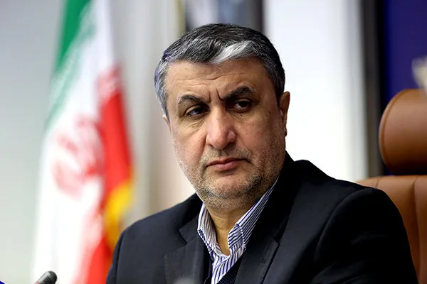 تولید ۱۰ هزار مگاوات برق هسته‌ای در دستور کار قرار دارد