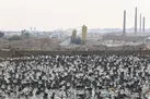 ساماندهی ۱۱۸۶۱۰ موتورسیکلت رسوبی/ ۴ روز تا پایان طرح وقت است