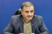 داوطلبان شوراهای روستایی تا ۳۰ بهمن فرصت ثبت‌نام دارند