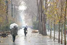 باران، برف و وزش باد شدید در نقاط مختلف کشور از امروز