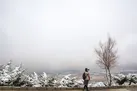 بارش برف و باران در ۲۰ استان/ سامانه بارشی جدید در راه است