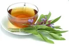 گیاهی پر مصرف که تسکین دهنده طبیعی درد است