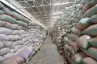 وضعیت ذخایر برنج استان کرمان کاملاً مطلوب است
