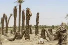 کاهش ۴۲.۱ درصدی بارش‌ ها در سال جاری آبی