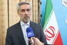 صدور مجوز ۱۰۰ هکتار گلخانه‌ در سال ۱۴۰۲