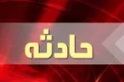 شنا در آب‌ های مخصوص کشاورزی جان دو جوان را گرفت