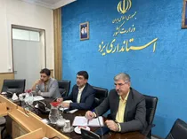 عملیات ضربتی برای مهار بحران پشه‌ها در یزد
