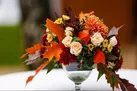 ۸ گل جادویی برای سلامت پوست و مو