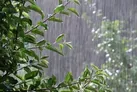 آغاز بارش های پراکنده از عصر امروز در خوزستان