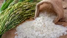 برخورد جدی با گران‌فروشی برنج خارجی