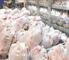 قیمت مرغ کاهشی است