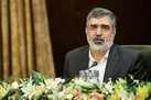 امکان غنی‌ سازی اورانیوم در سطوح ۴۰ تا ۶۰ درصد را داریم