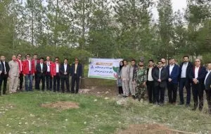 ۳۰۰ اصله نهال مثمر و غیر مثمر در پالایشگاه گاز ایلام کاشت شد