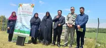 بانوان، پیشگامان حفظ محیط زیست و توسعه پایدار