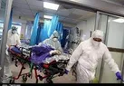 کرونا همچنان جان می گیرد/ ۷ هم استانی دیگر در ۲۴ ساعت گذشته قربانی کرونا شدند