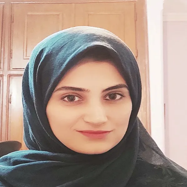فناوری ارزان جذب دی‌اکسیدکربن در اگزوز خودروها