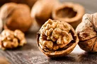 قوی کننده مغز و معده را بشناسید