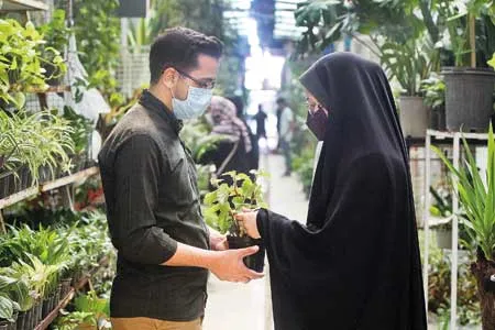 جنگل‌کاران خانگی