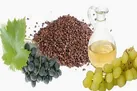 فواید فوق العاده روغن هسته انگور برای سلامتی