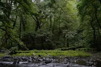 اطراف رشت کجا بریم (جاهای دیدنی اطراف رشت)