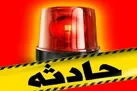 بی احتیاطی راننده، جان پدربزرگ و نوه‌ های دوقلویش را گرفت