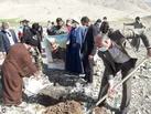 کاشت ۸۲ اصله نهال به نام زنان شهیده و جانباز شهرستان ملکشاهی