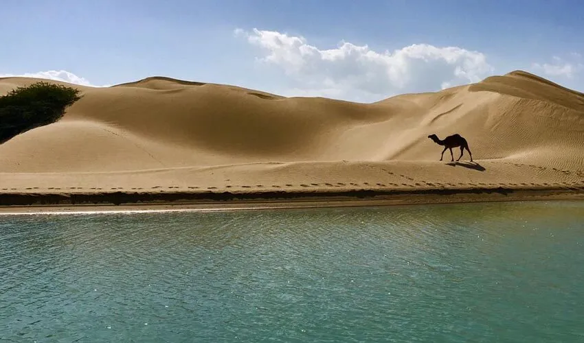 «دَرَک زرآباد»؛ تلاقی کویر و دریا  و جنگل در مسیر ثبت جهانی و جهش گردشگری
