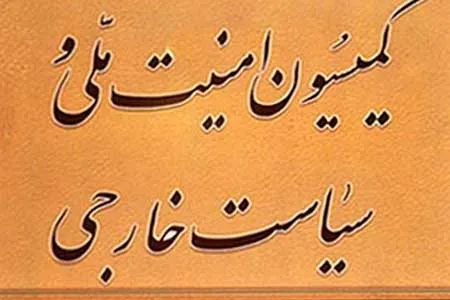 تصویب طرح الزام دولت به تعلیق اجرای پروتکل الحاقی در کمیسیون امنیت مجلس