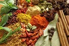 مشکلاتی که گیاهان دارویی برای کلیه‌ها ایجاد می‌کنند (+عکس)