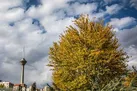 افزایش نسبی دمای تهران | خیزش گرد و خاک در نیمه جنوبی استان
