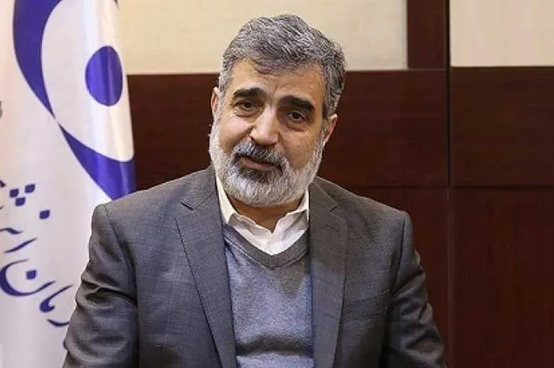 خلاء نظارتی مورد ادعای آژانس مبنای حقوقی ندارد | ایران پاسخ سوالات آژانس را داده است