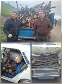 توقیف سه دستگاه خودرو حامل چوب آلات وهیزم جنگلی در استان اردبیل