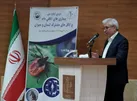 سال گذشته ۳.۶ هزار تن گوشت به دلیل وجود انگل در کشتارگاه های کشور ضبط شد