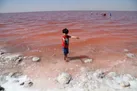مجلس طرح تحقیق و تفحص از عملکرد ستاد احیای دریاچه ارومیه را تصویب کرد