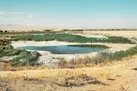 التماس برای زنده ماندن