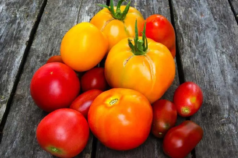 پیشگیری از سرطان با خوراکی‌های غنی از آنتی اکسیدان