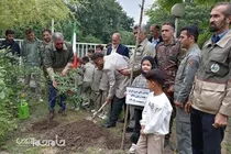 بیش از یک میلیون و ۳۵۰ هزار نهال در گلستان کاشته شد