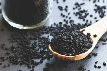 سیاه دانه به درمان کووید ۱۹ کمک می کند