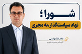 شورا؛ نهاد سیاست‌گذار، نه مجری