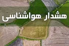 کلزاکاران توصیه های هواشناسی را جدی بگیرند / بارش خاصی در اکثر نقاط کشور تا نیمه آذر نداریم