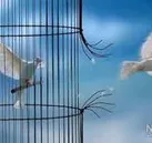 آزادی ۹۲ زندانی جرائم غیرعمد در ایلام