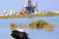 مرگ ۲ صیاد در هورالعظیم بر اثر بیوگاز تالاب