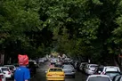 رگبار و رعدوبرق در نقاط مختلف کشور