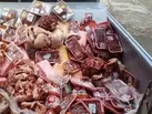 ضبط و معدوم سازی بیش از ۲ تن فرآورده خام دامی غیر قابل مصرف انسانی در اهواز
