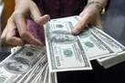 عرضه ۲۲۶ میلیون دلار در سامانه نیما