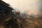 ۴ کشته و ۱۸۰ زخمی بر اثر آتش سوزی جنگل‌ها در ترکیه